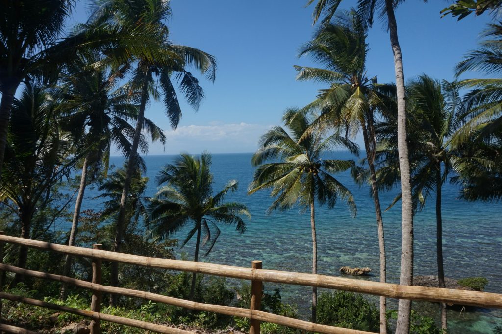 Tropical coastline view on Guimaras Island with palm trees and clear blue water.