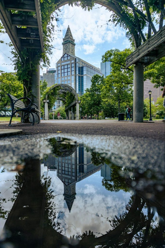 Boston park with Custom House Tower view